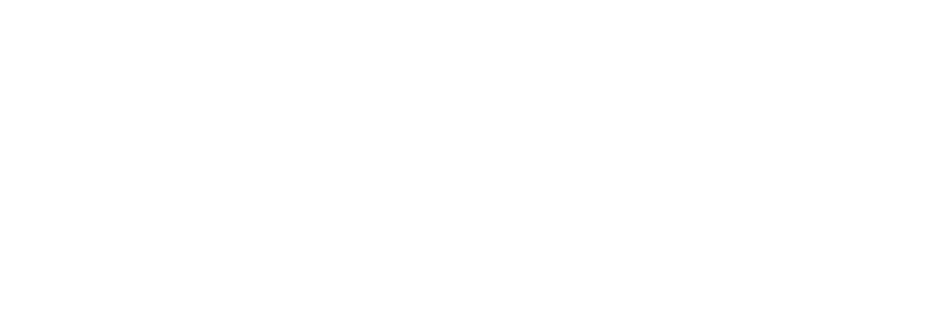 BridgeCounsel Strategies LLC